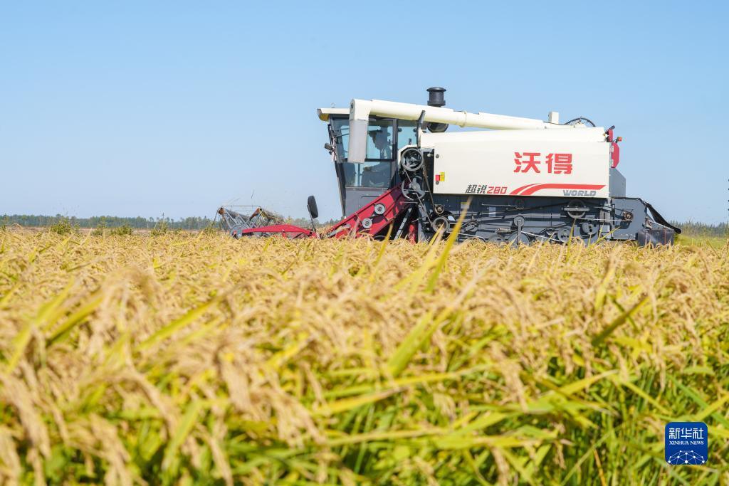 365bet苹果客户端